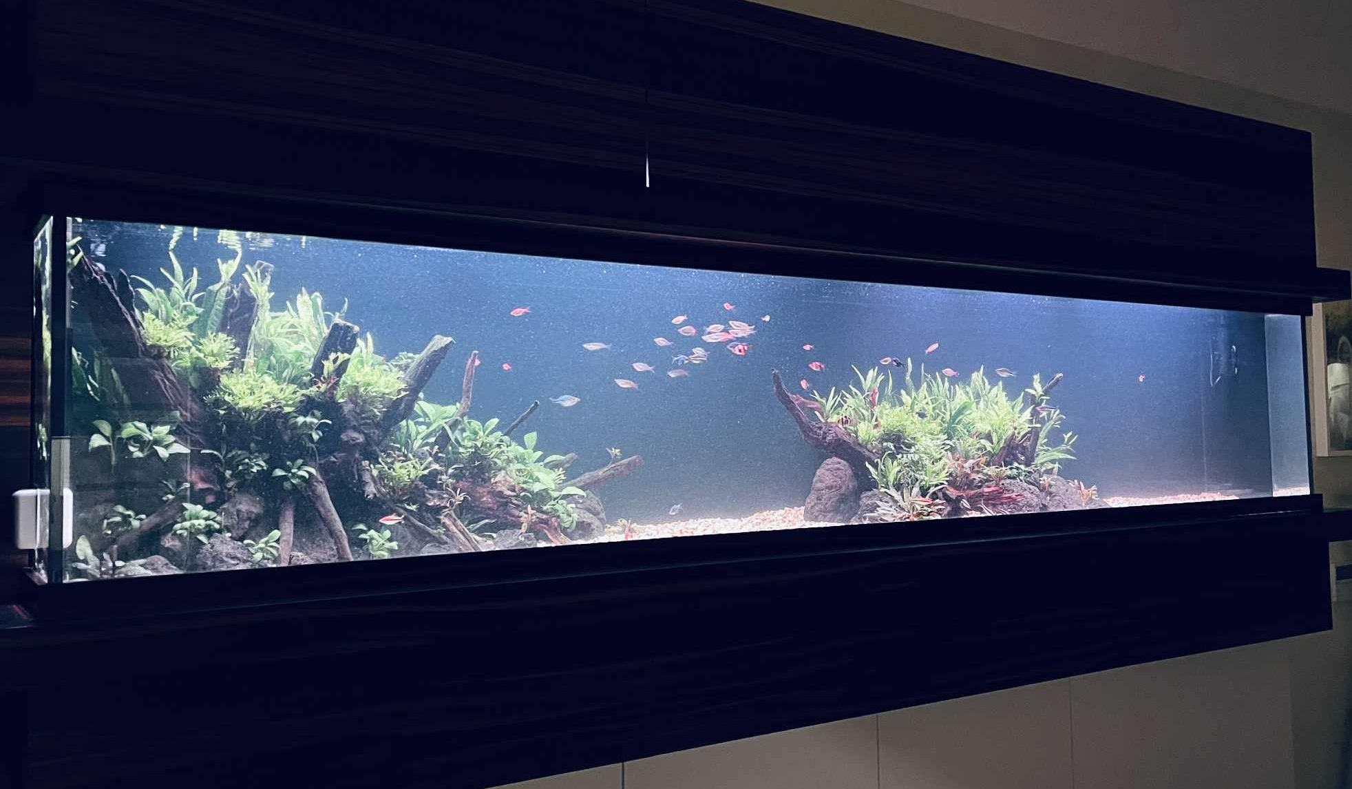 Společenská automatizovaná nádrž 300x50x60 cm