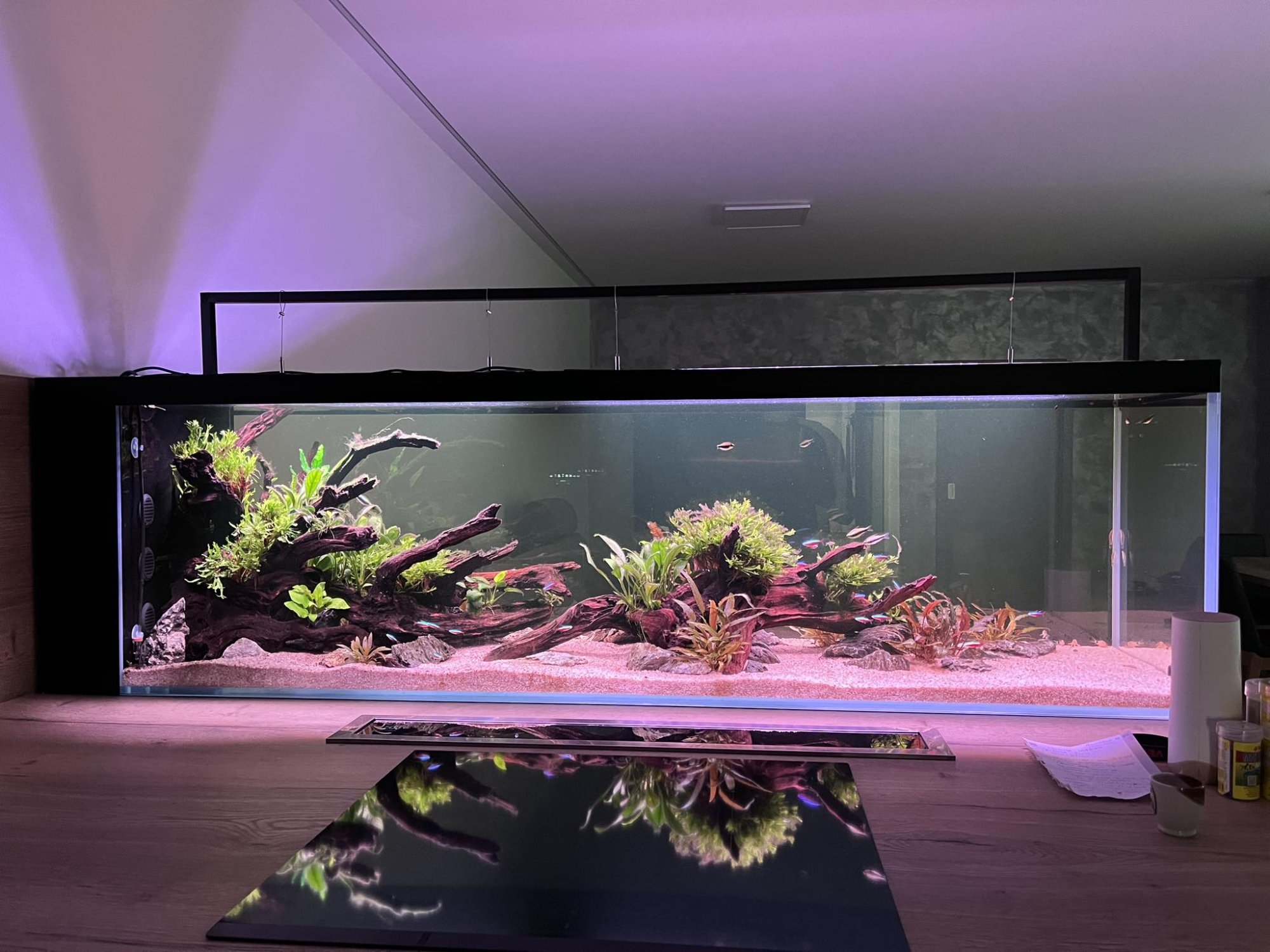 Automatizované 600l optiwhite akvárium