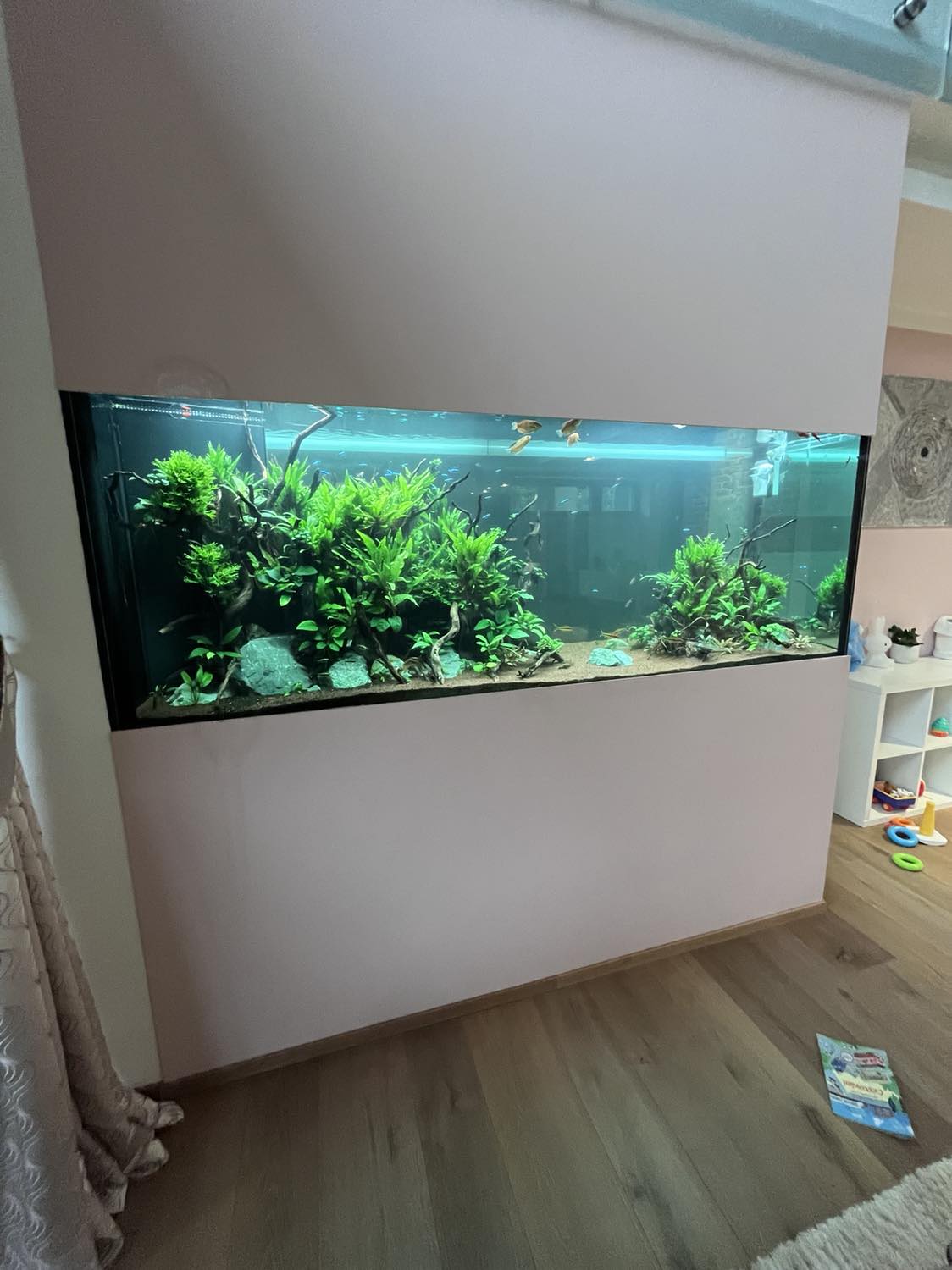 Kompletní rekonstrukce 1200 litrového akvária