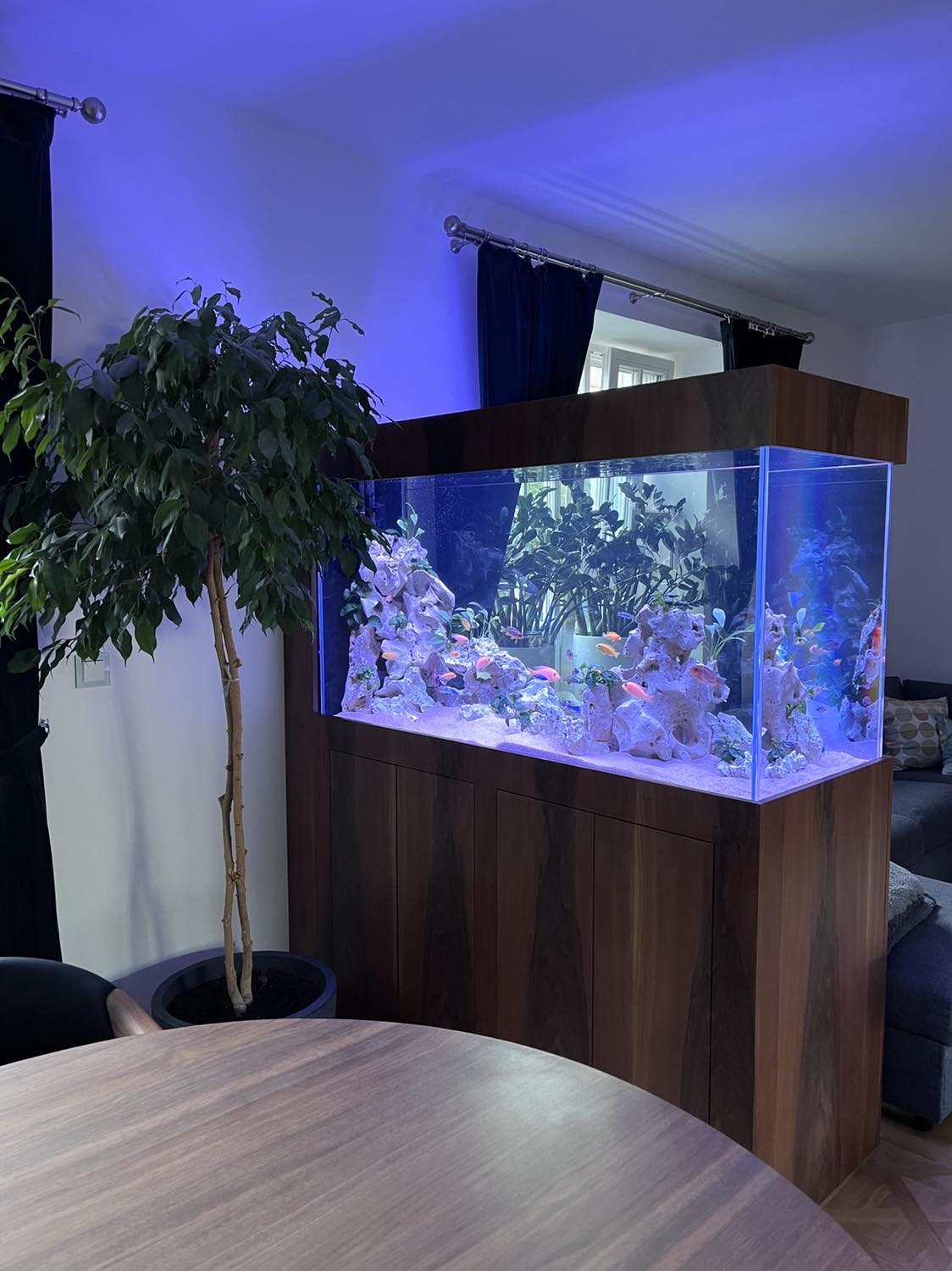 Africké cichlidy v 720 litrové nádrži