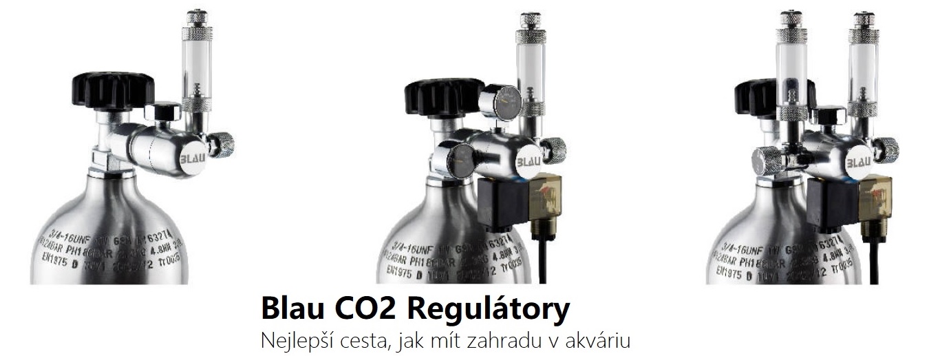 Blau Co2
