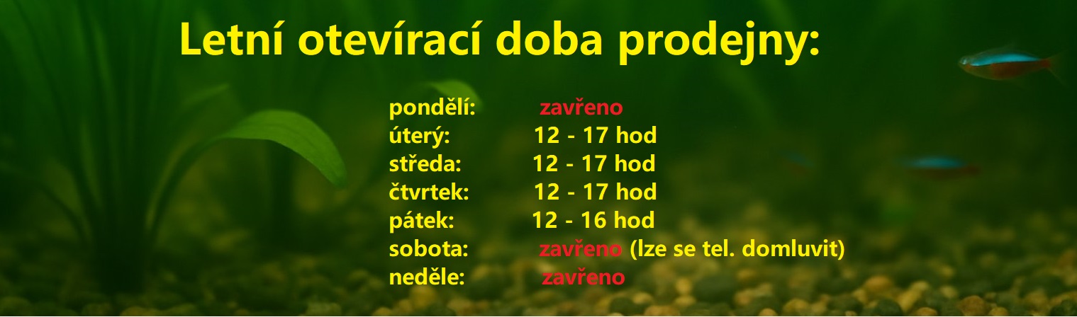 leto_oteviracka
