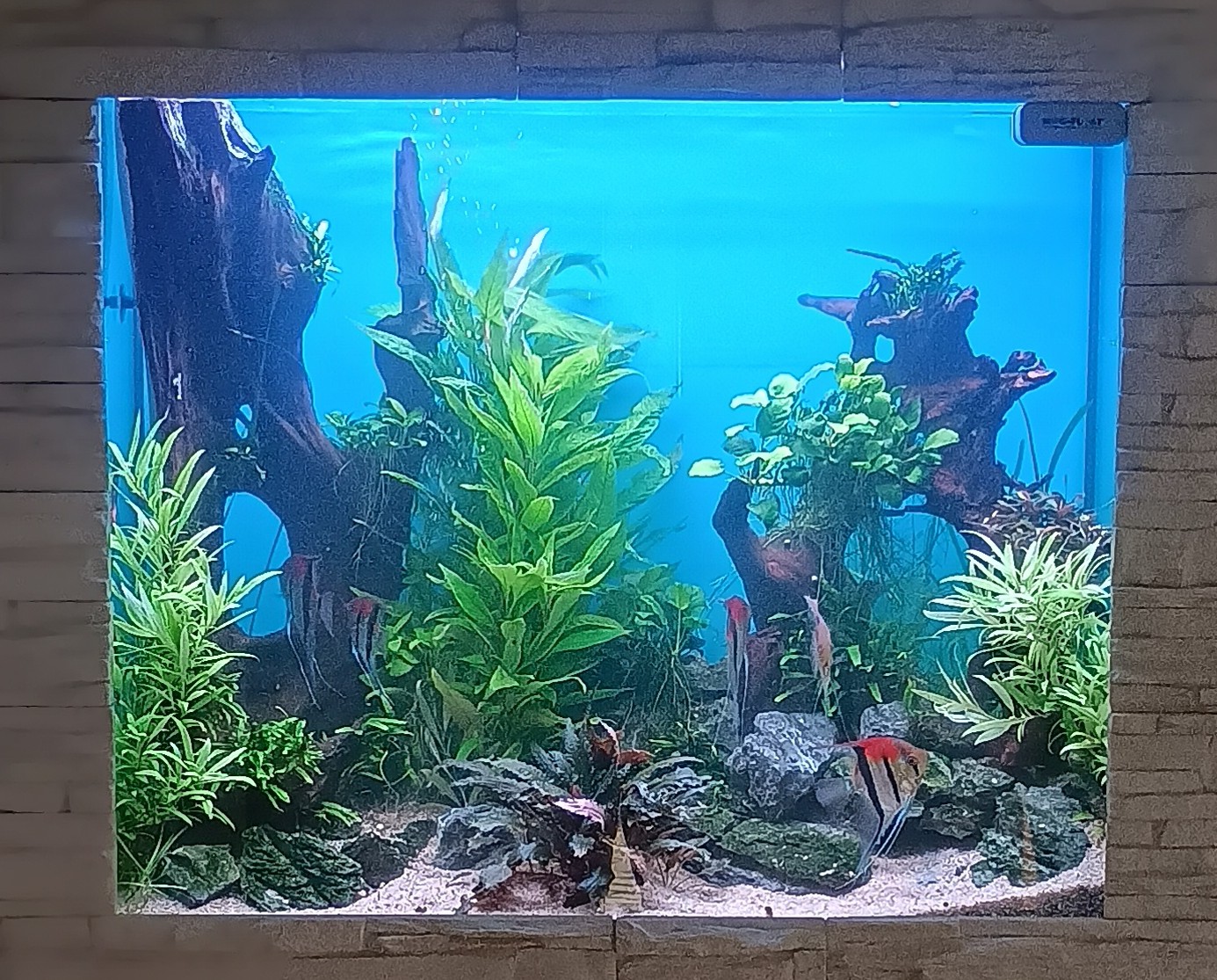 IMG_20250829_090134612_HDR