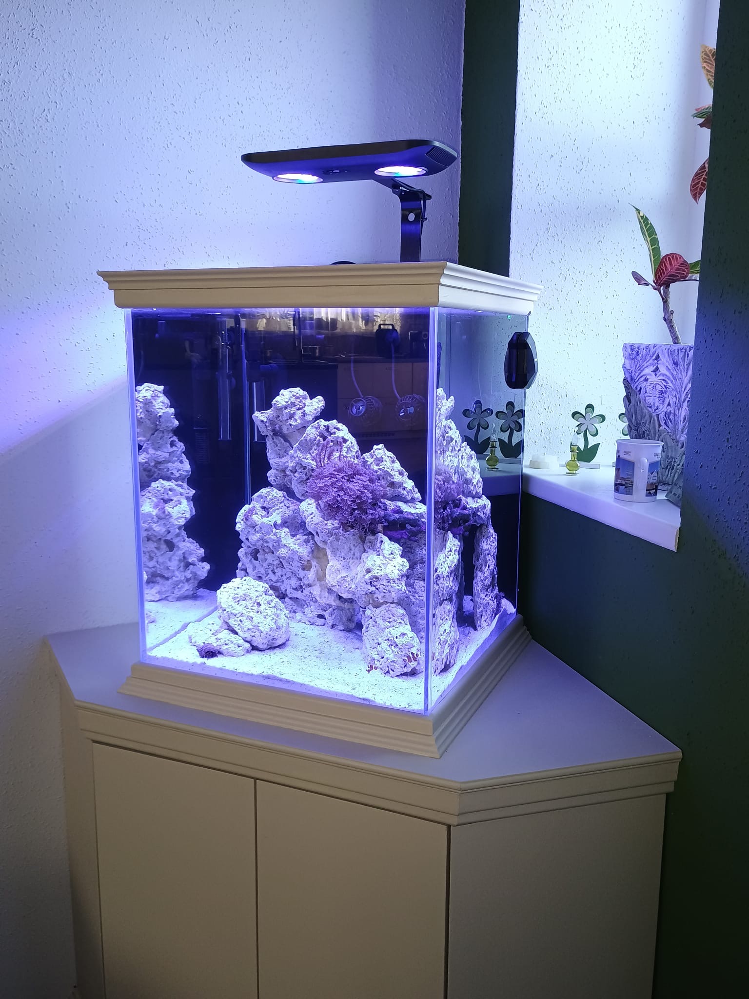 abf431fb-0a28-41cd-bfb8-083facd3bc78