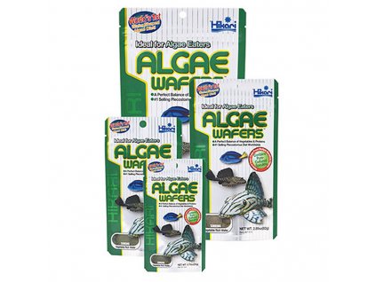 hikari tropical algae wafers 40 g 1044