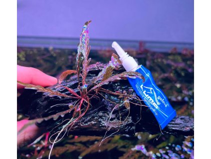 Akvarijní lepidlo na rostliny