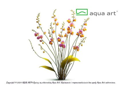 Utricularia longifolia