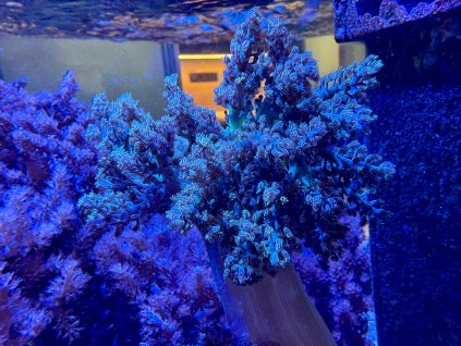 5f0d294d 4073 4bfc a227 e3fc771d3c1b