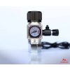 Strideways Regulator Front 600x498