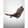 Mangrove Wood XL 40 - 80 cm