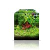 aquarium cubic panoramic 30 (2)