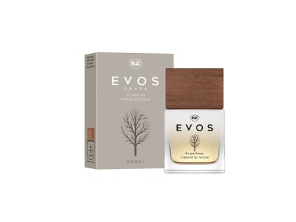 v061