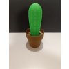 Kaktus - stojánek na párátka