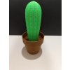 Kaktus - stojánek na párátka