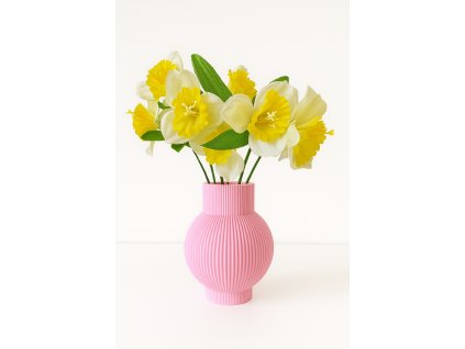 ChatGPT Image 7. 11. 2025 21 17 01