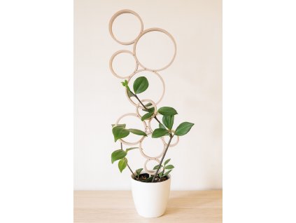 ChatGPT Image 24. 10. 2025 17 55 04