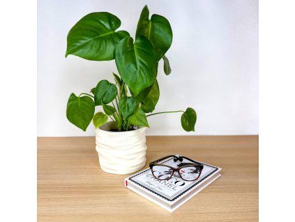 WavePot Planter.jpg3