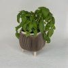 HerbiNest Planter Set5