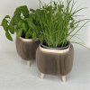 HerbiNest Planter Set4