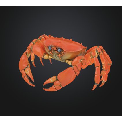 Stl modely - zvířata