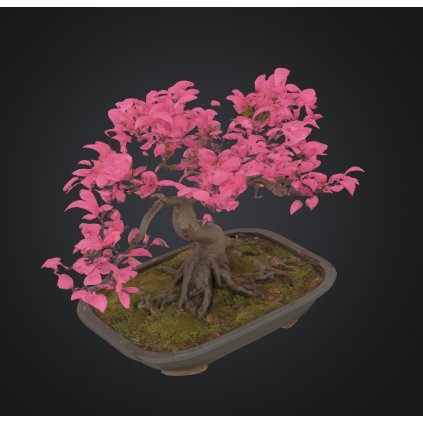 Snímek obrazovky 2025 04 19 v 20.47.58