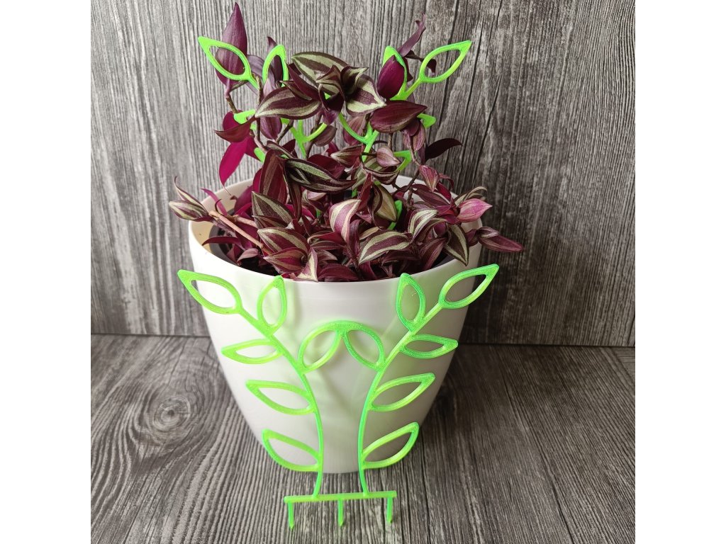 WhatsApp Image 2025 03 22 at 17.20.38