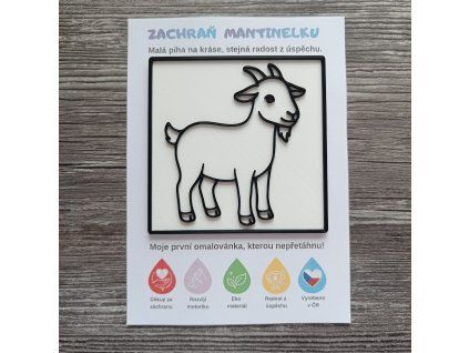 WhatsApp Image 2026 04 13 at 22.21.40