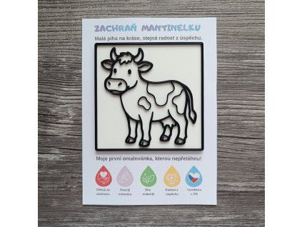 WhatsApp Image 2026 04 13 at 22.25.33