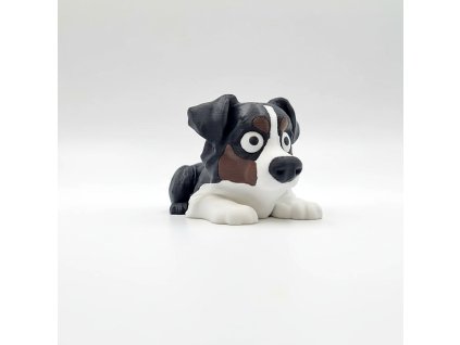 Australský ovčák (2)