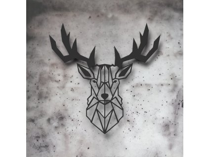 PhotoRoom 20231127 123528