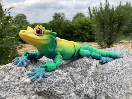 Pagekon řasnatý L