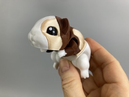 Mini morče do kapsy