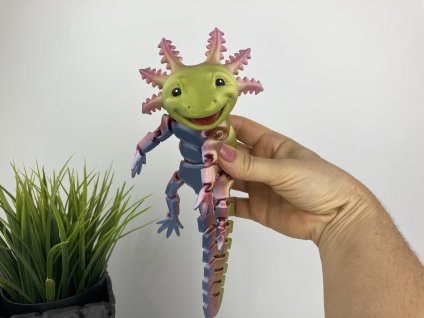 Axolotl s úsměvem L