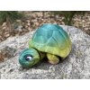 Suchozemská želva M