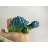 Suchozemská želva M