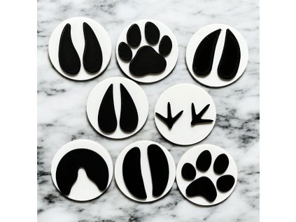 Photoroom 20260218 150329