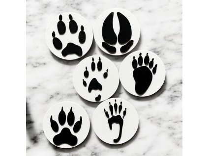 Photoroom 20260218 151037