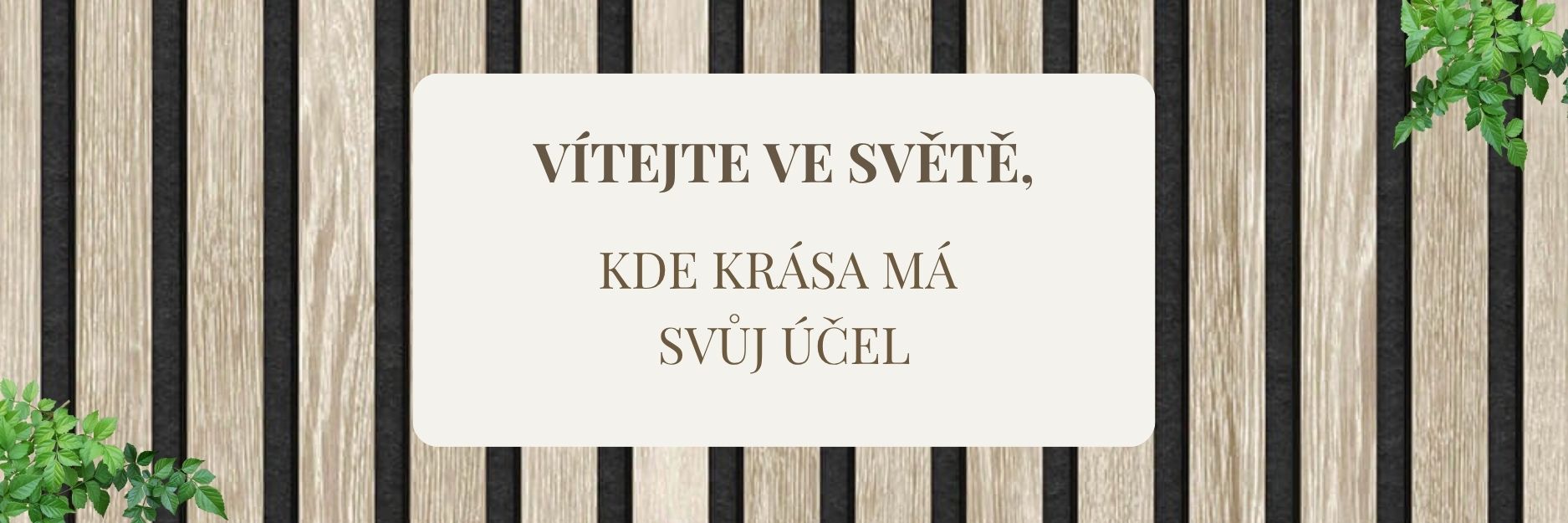 1_Vitejte ve svete