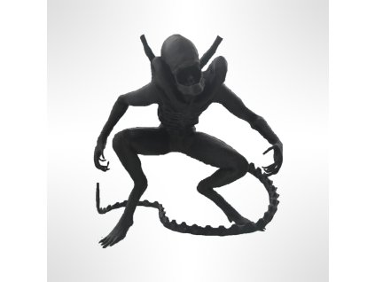 pixelcut export (42)