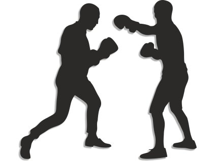 boxeristi