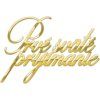 PSP (6)