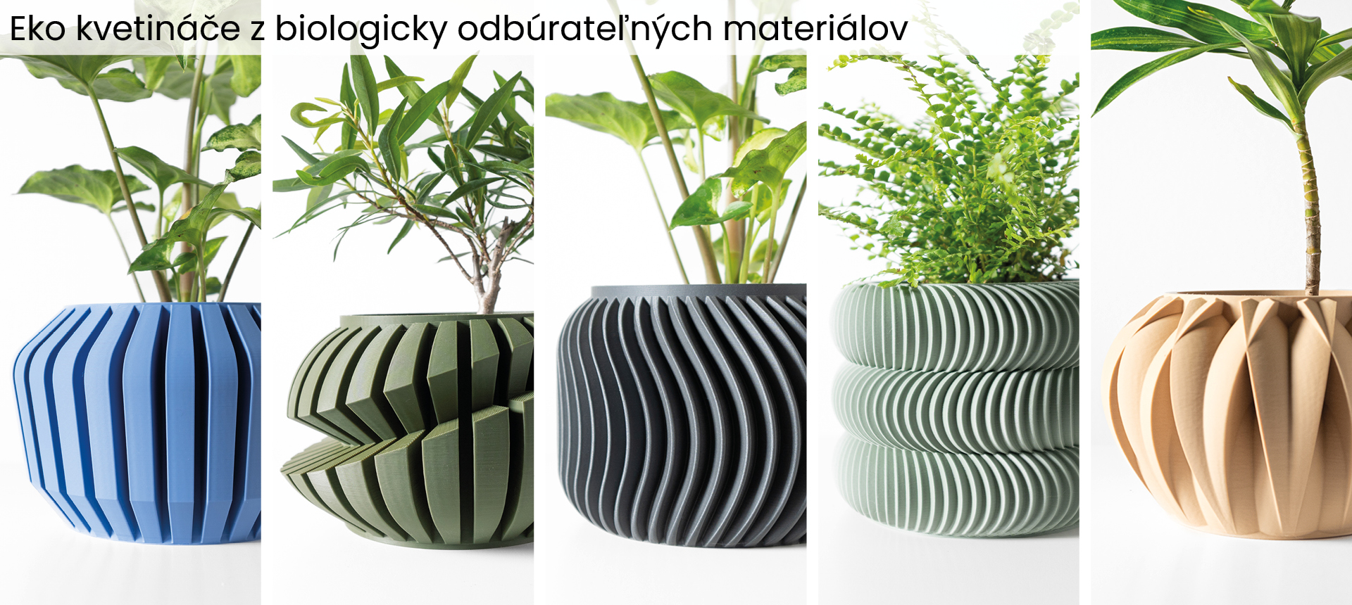 3D Special banner03 eko kvetinace