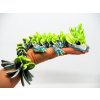 mlada imeloveho draka Baby Mistletoe Dragon (7)