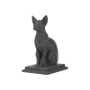 ASA Anthracite Gray