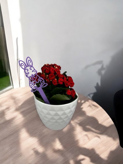 Photoroom 20250401 025116