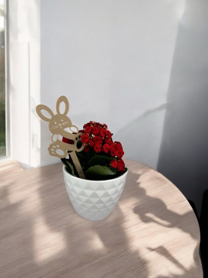 Photoroom 20250401 025026