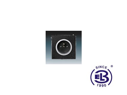 Zásuvka jednonásobná s ochranným kolíkem, s clonkami, s ochranou před přepětím Neo/Neo Tech, onyx/titanová, řazení 2P+PE, 5599M-A0235774 ABB