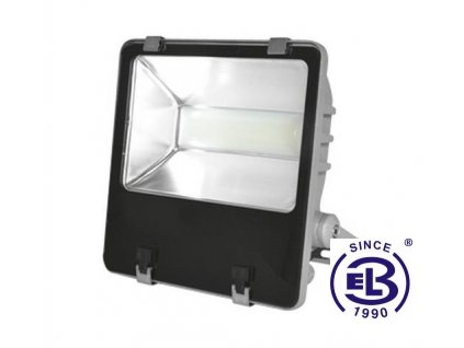 Reflektor LED RODE SMD 100W - studená bílá IP65