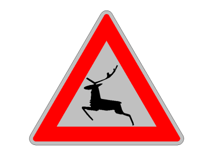 A14 Lesní zvěř