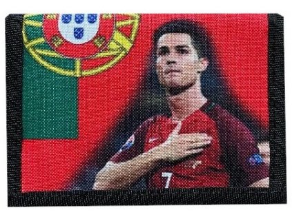 Ronaldo Portugalsko